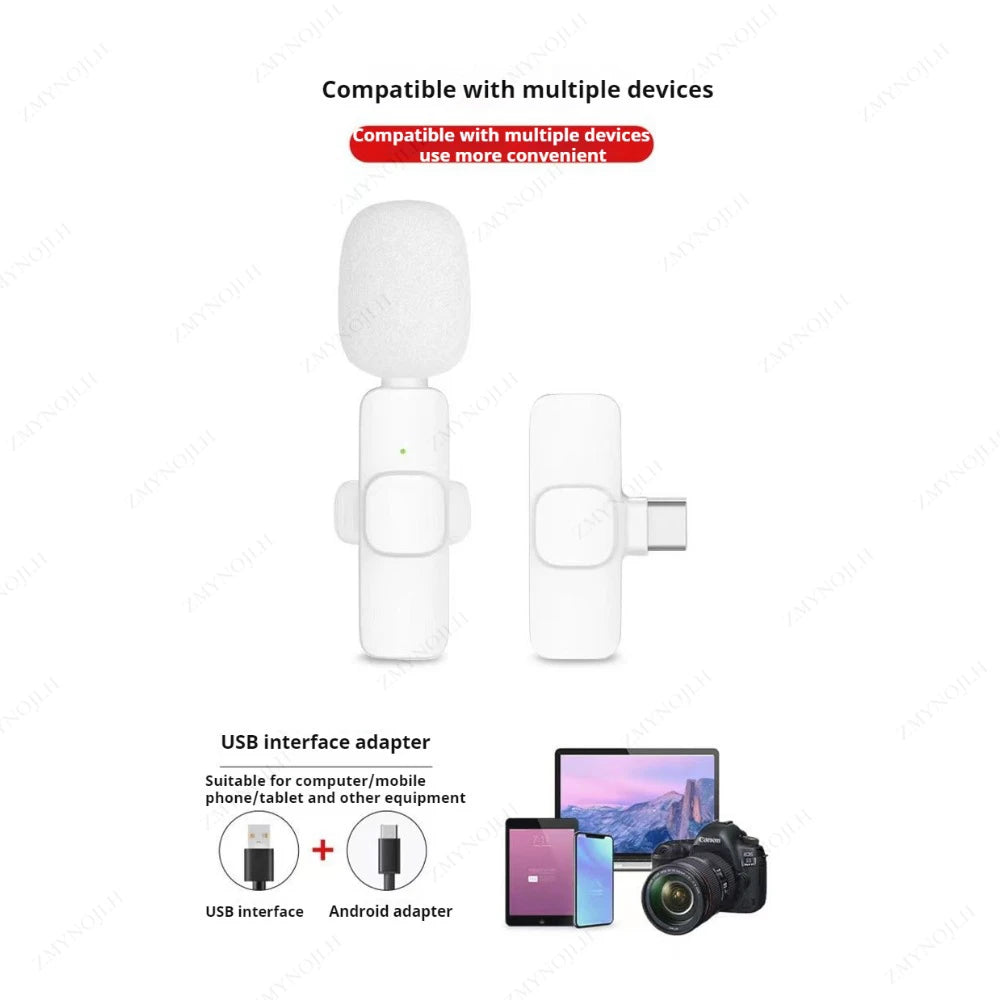 Mini Microphone Clip-On Wireless Lavalier Mic